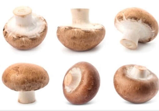 Remember to Eat Mushrooms!